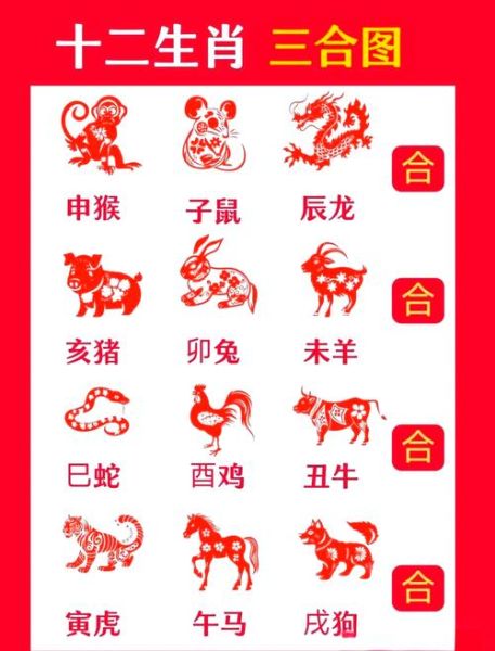生肖同属相刑（生肖同属相刑是什么意思？🔍）