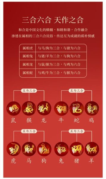 金多福的生肖属相（金多福属什么生肖？小白也能秒懂🎯）