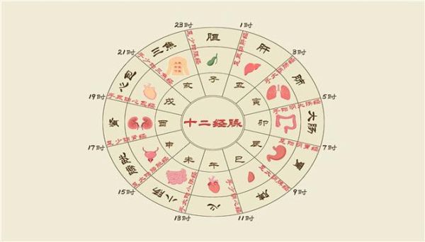 辰时生肖属相（辰时生肖属相揭秘🔍）