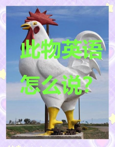 鸡生肖属相英文（鸡生肖属相英文怎么写？）