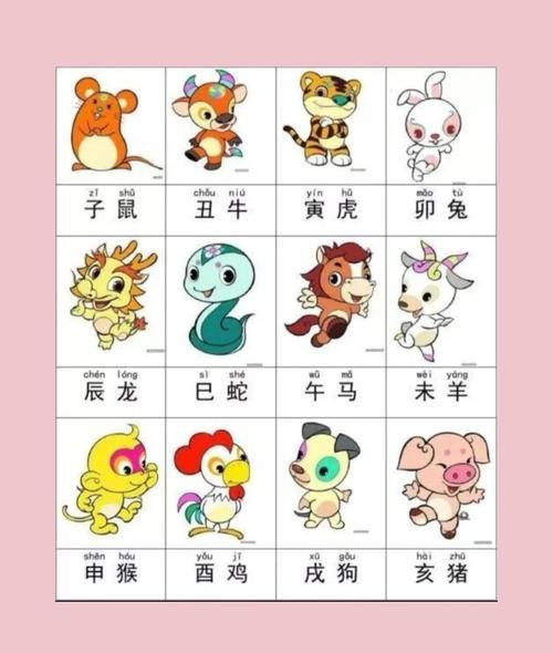 生肖鸡子女属相相克（生肖鸡和子女什么属相最合）