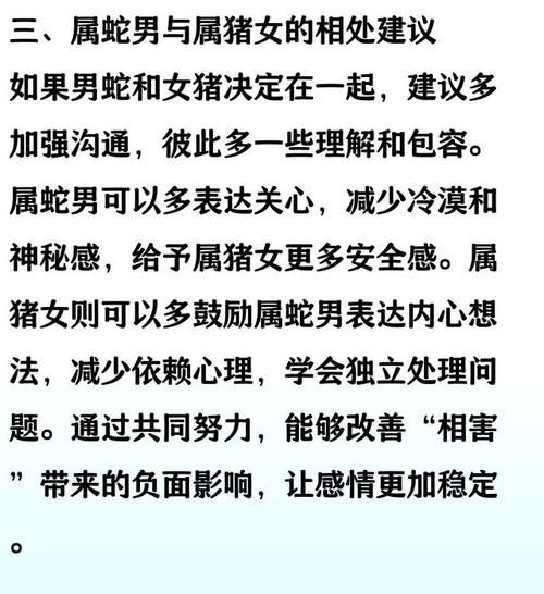 生肖猪与生肖蛇属相配吗（属猪和属蛇的合不合婚）