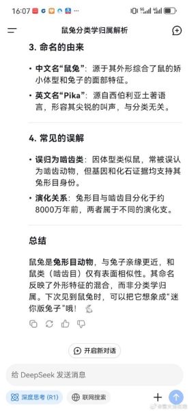 鼠兔生肖不合的属相（鼠兔相克破解方法详解💡）