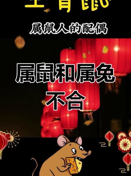 鼠兔生肖不合的属相（鼠兔相克破解方法详解💡）