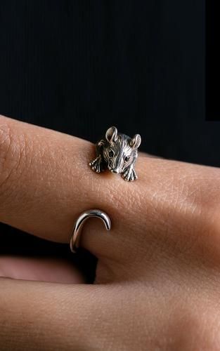 男生生肖属相戒指环（男生戴什么生肖戒指好看）