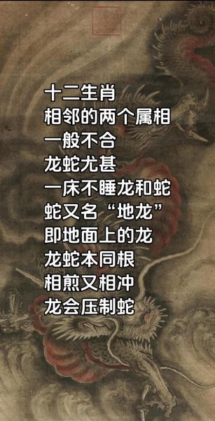 龙蛇属相说法是什么生肖（龙蛇属相是什么生肖）