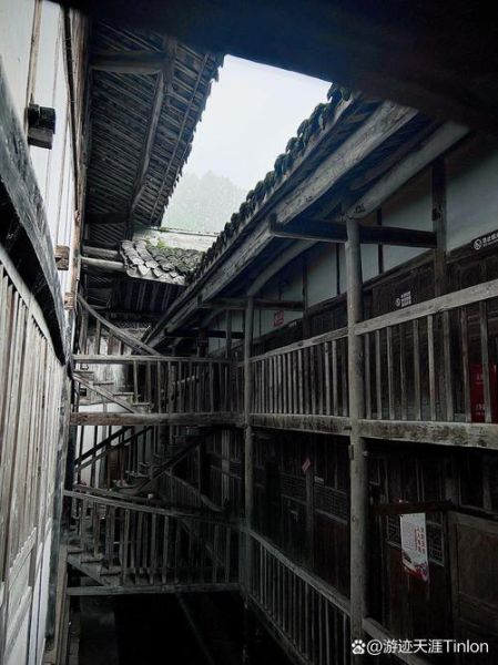 生肖属相小夜灯(生肖属相小夜灯怎么选?新手避坑指南)