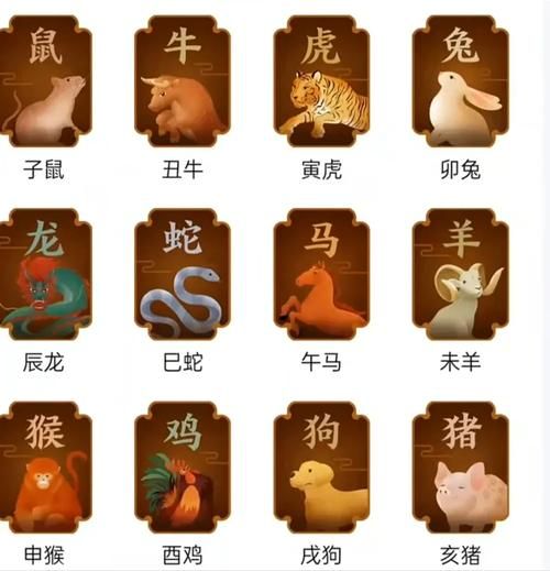 炬打属相生肖（炬打属相生肖到底是什么）