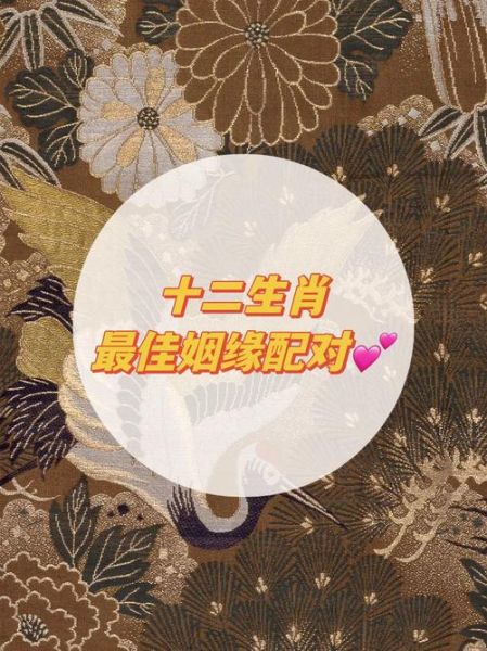 生肖属相配对姻缘直播（生肖属相配对姻缘直播到底在播什么？小白必看）