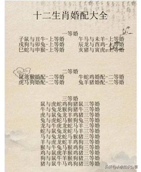 生肖属相婚恋配对（属相不合真的不能结婚吗）