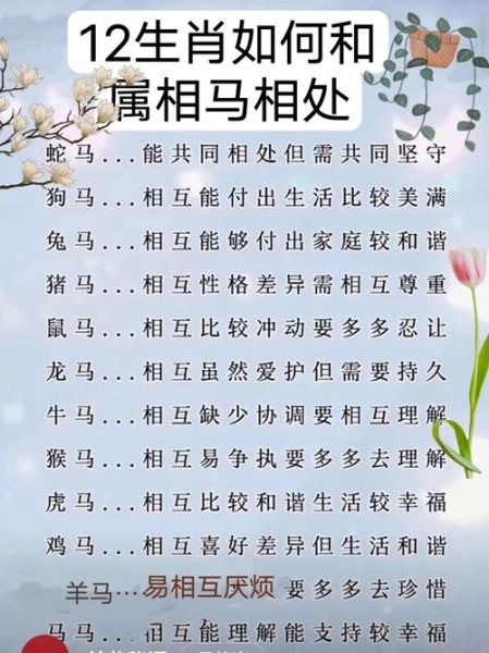 马属相是什么生肖（马属相是什么生肖？新手秒懂指南）