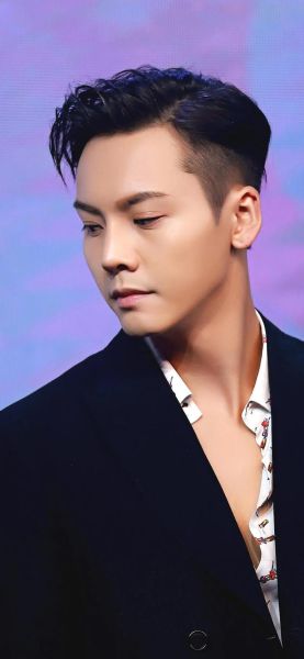 陈伟霆生肖属相（陈伟霆生肖属相是什么？小白也能立刻看懂）