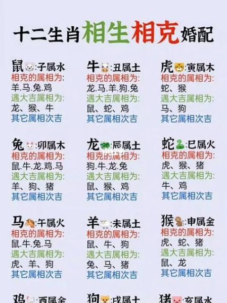 生肖属相相忌表(2024最新生肖相冲相克对照表)