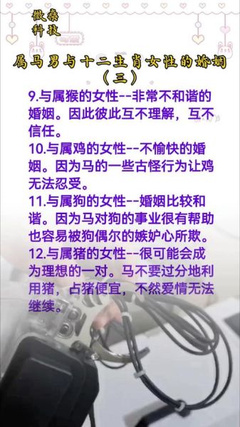 马属相最佳婚配生肖女生（马男最适合娶的生肖女）
