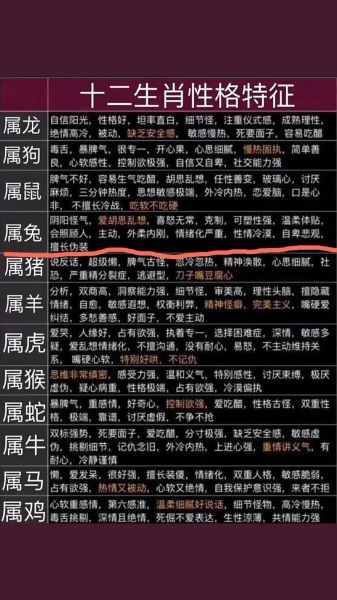 生肖属相讲解兔（生肖兔的性格特征是什么）