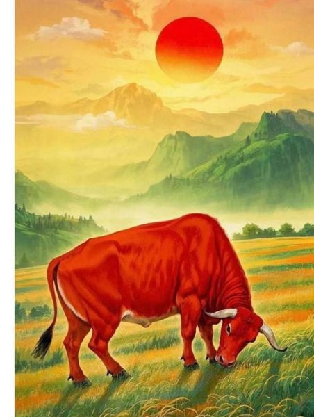 面相生肖属相（什么属相面相最旺财运？）