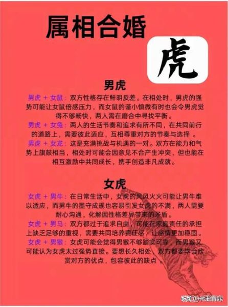 生肖龙属相虎相冲吗（龙和虎相克吗？生肖合婚小白问）