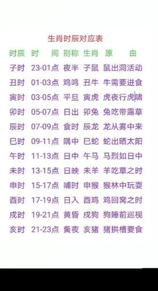 致生肖属相十二时辰（致生肖属相十二时辰的含义是什么）