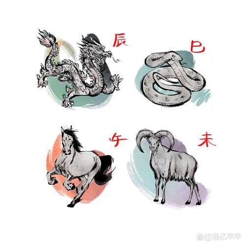 薛仁贵属相是什么生肖（薛仁贵属什么生肖👉小白也看得懂）