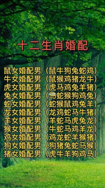 生肖羊猴婚配属相（属羊和属猴的适合做夫妻吗）