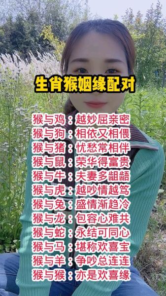 猴生肖属相配（属猴最配什么属相？小白速查版）