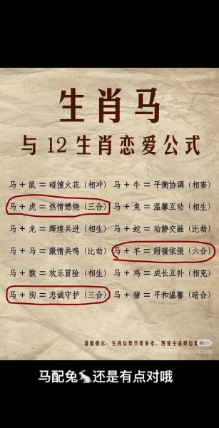 马属相今年相合的生肖（马生肖今年最合的三大生肖排名）