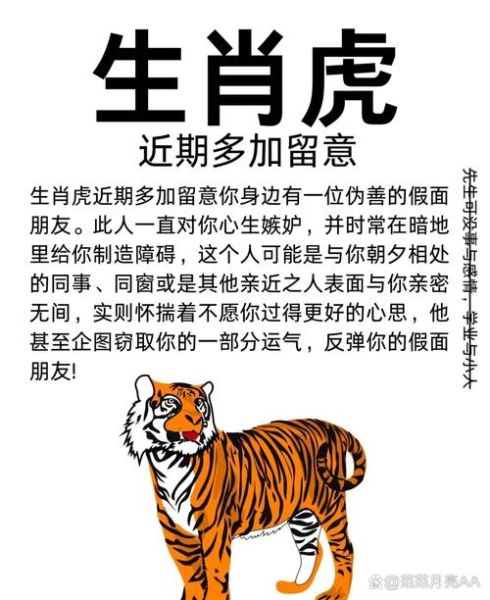 虎属于哪个生肖属相（虎属于哪个生肖属相🐯）