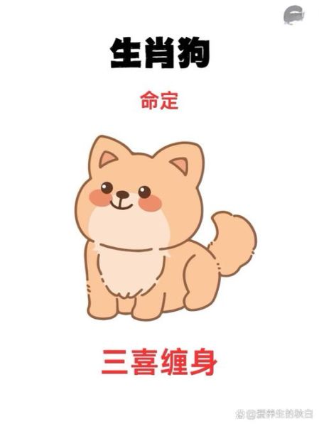 属相狗忌哪些生肖（属狗最忌这几个生肖）