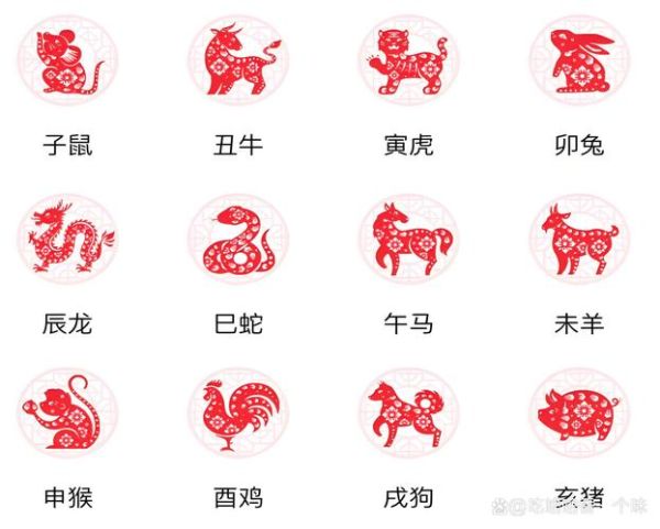 生肖属相最多的生肖（生肖属相最多的生肖是什么）