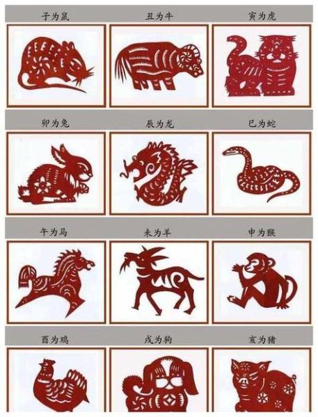 张小狮什么生肖属相