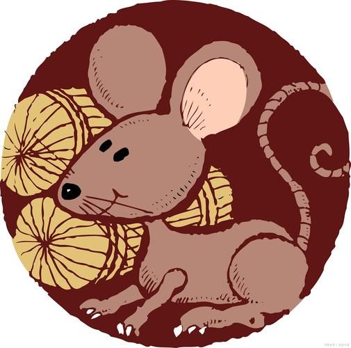 鼠年属什么生肖属相（鼠年到底属什么生肖属相？）