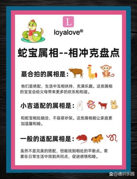 蛇属相下面是什么生肖（蛇属相下面是什么生肖？新手一文看懂顺序）