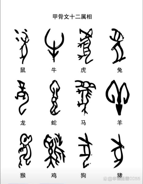 甲代表生肖什么属相（甲代表生肖什么属相 一看就懂）