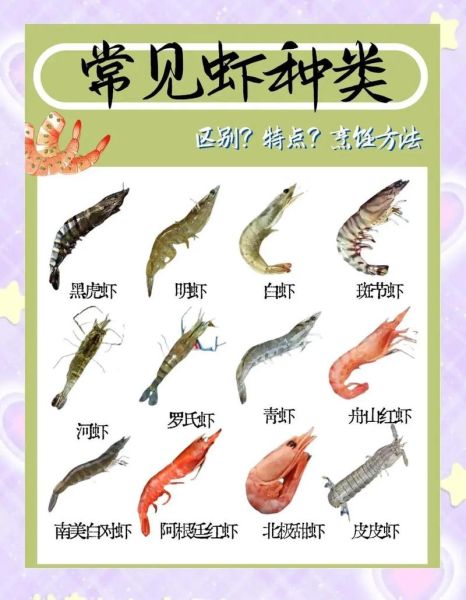 虾属相是什么生肖（虾在十二生肖中代表什么）