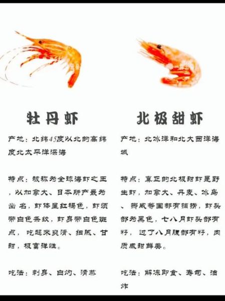 虾属相是什么生肖（虾在十二生肖中代表什么）