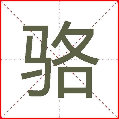 骆是什么属相的生肖（骆是什么生肖？新手一看就懂）