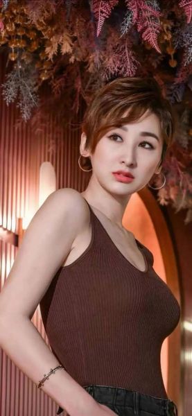 高海宁属什么生肖属相（高海宁属什么生肖）