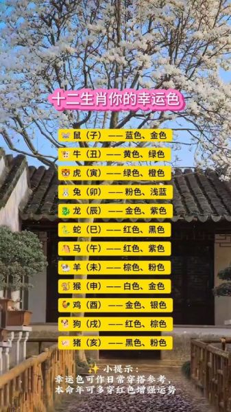 生肖配流年属相颜色（本命年用什么颜色最旺运）