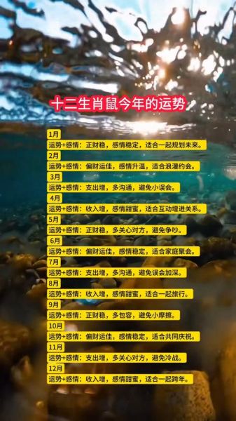 运势查询老鼠生肖属相（老鼠生肖今日运势查询2024）