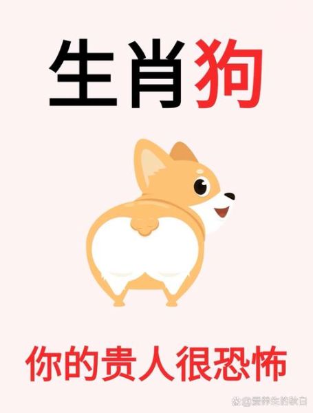 阿狗属什么生肖属相（阿狗属什么生肖属相？看完秒懂！）