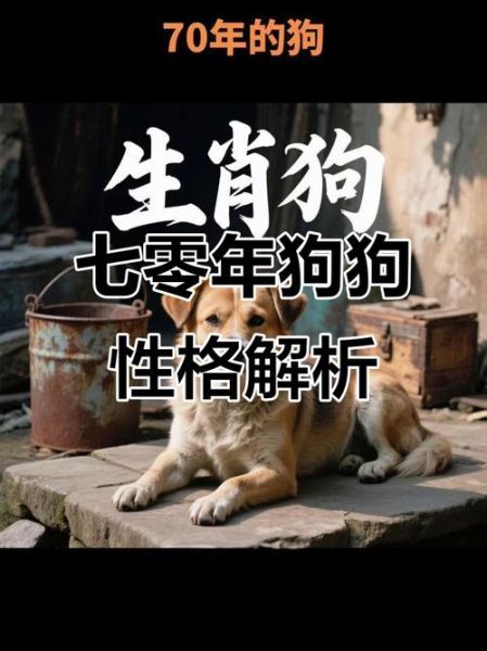 1970年的生肖属相（1970年属什么生肖 🐕）