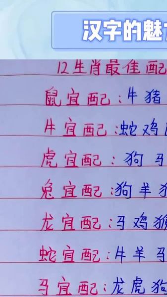 03年属相什么生肖配对（03年属相什么生肖配对🌟）