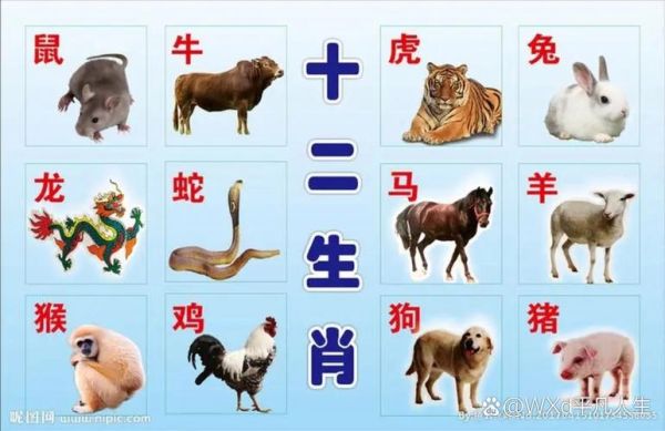 生肖里有什么属相（12生肖里有哪些属相？）