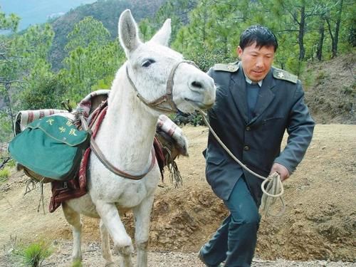 王顺友属什么生肖属相（王顺友属什么生肖？）