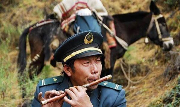 王顺友属什么生肖属相（王顺友属什么生肖？）