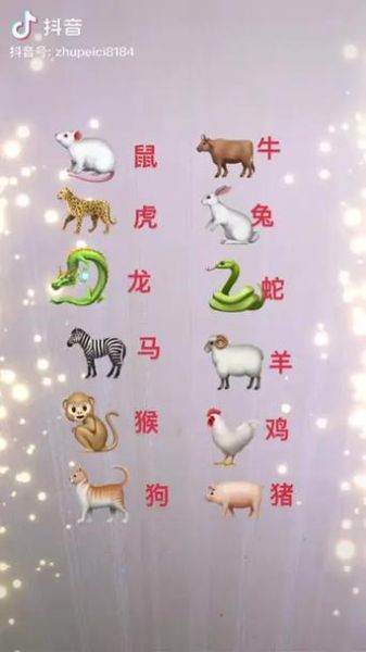 属相如何确立生肖（属相到底按哪天算🐭🐂🐯？）