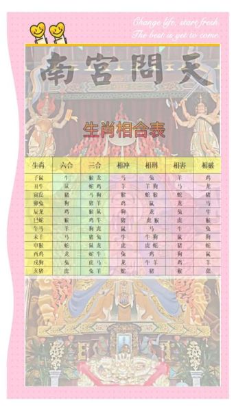 虎鼠属相不合的生肖（虎鼠属相不合的生肖配对破解法）