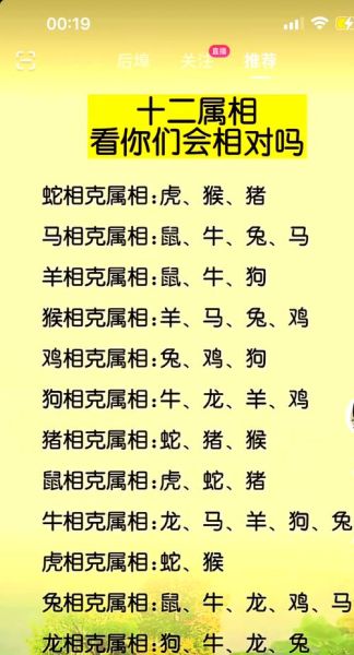 生肖猪与什么属相相克（生肖猪与哪些属相相冲突）