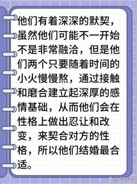 生肖鸡跟什么属相合