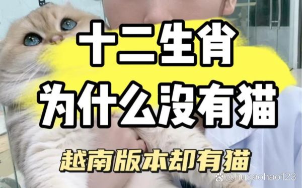 越南人有几个生肖属相（越南生肖有12个吗？新手一看就懂）